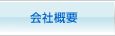 ЊTv